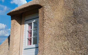Wrickton thatch roof disadvantages